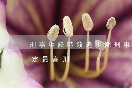 刑事訴訟時效追訴期(刑事訴訟時效追訴期法定最高刑)