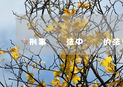 刑事訴訟法中書證的法律規(guī)定