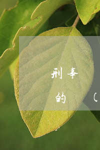 刑事訴訟法對檢察委員會的權力有多項明確的規(guī)定