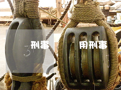 刑事訴訟費用(刑事訴訟費用誰承擔)