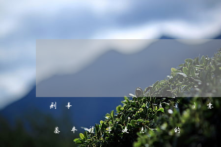 刑事訴訟辯護(hù)意見范文（刑事訴訟的基本程序是怎樣的）