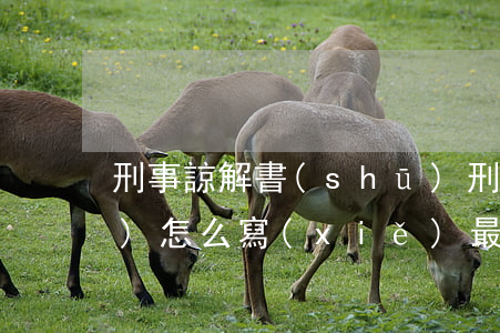 刑事諒解書(shū)(刑事諒解書(shū)怎么寫(xiě)最有效)