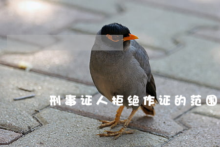 刑事证人拒绝作证的范围及其限制