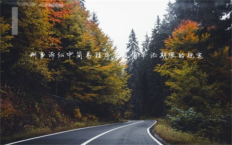 刑事诉讼中简易程序有没有举证期限的规定