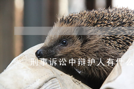 刑事诉讼中辩护人有什么权利与义务