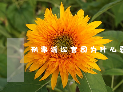 刑事诉讼官司为什么要求相关法官回避