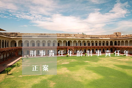 刑事責任年齡(刑事責任年齡12周歲刑法修正案)