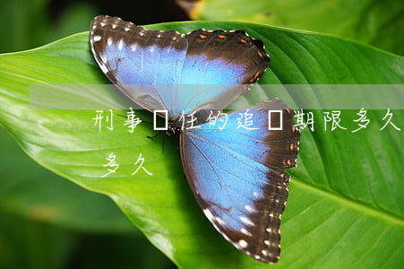 刑事責任的追訴期限多久(刑事處罰追訴期是多久)