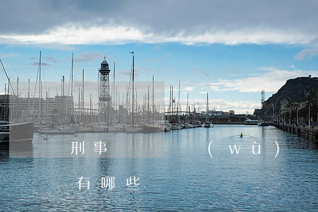 刑事賠償義務(wù)機關(guān)的有哪些