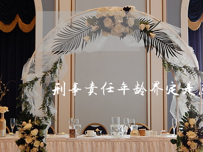 刑事责任年龄界定是怎样的