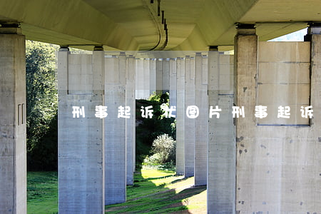 刑事起诉状图片(刑事起诉状图片)
