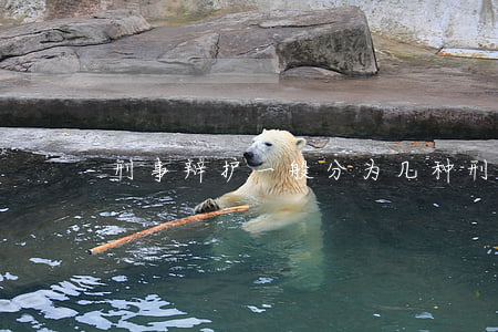 刑事辩护一般分为几种(刑事辩护和民事辩护)