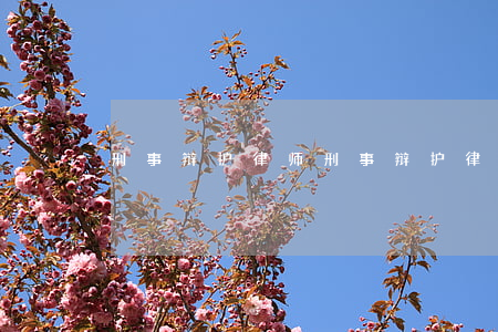 刑事辩护律师(刑事辩护律师)