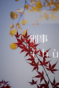刑事辯護(hù)律師有用嗎(刑事案件辯護(hù)律師有多大作用)