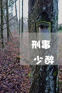 刑事辯護(hù)律師費(fèi)一般多少醉駕(醉駕需要請(qǐng)律師辯護(hù)嗎)