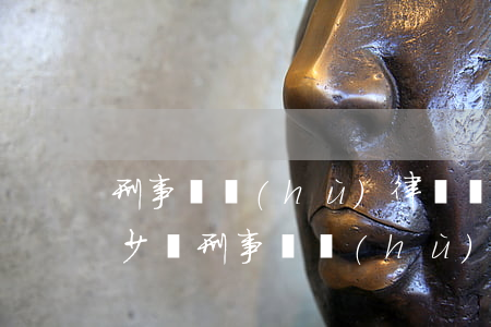刑事辯護(hù)律師費(fèi)一般多少錢(刑事辯護(hù)律師費(fèi)一般多少錢)