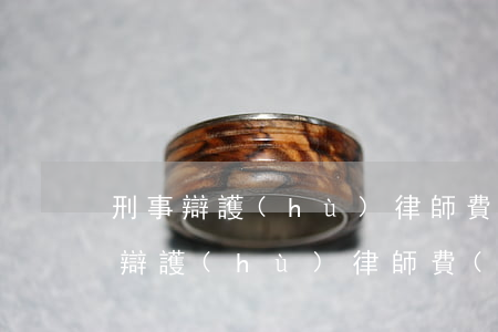 刑事辯護(hù)律師費(fèi)用(刑事辯護(hù)律師費(fèi)用怎么算)