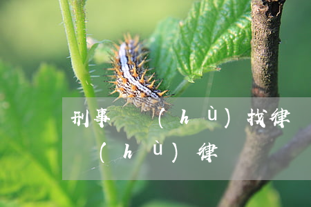 刑事辯護(hù)找律師(刑事案件必須有辯護(hù)律師嗎)