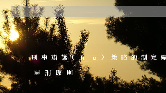 刑事辯護(hù)策略的制定，需遵循法院的量刑原則