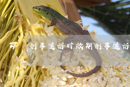 刑事追诉时效期(刑事追诉时效期两年)