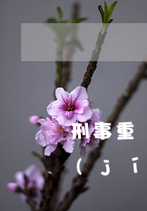 刑事重傷一級(jí)賠償多少錢(輕傷一級(jí)民事賠償)