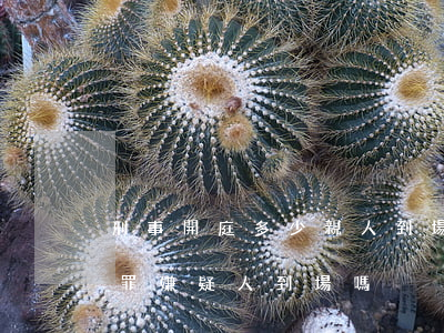 刑事開庭多少親人到場(法院開庭需要全部犯罪嫌疑人到場嗎)