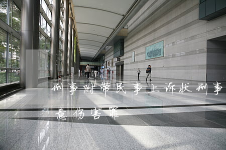 刑事附带民事上诉状(刑事附带民事上诉状故意伤害罪)