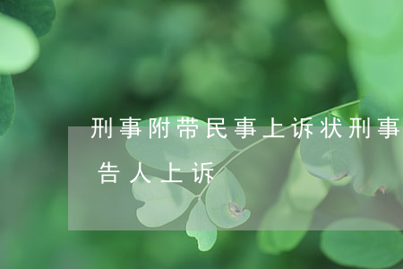 刑事附带民事上诉状(刑事附带民事上诉状被告人上诉)