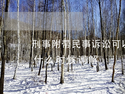 刑事附带民事诉讼可以调解吗(刑事附带民事什么时候调解)