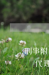 刑事附帶民事訴訟代理人可以閱卷嗎(刑事訴訟代理人閱卷權(quán))