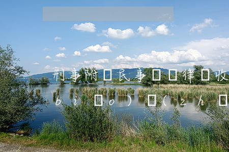 刑事附帶民事訴訟律師收費(fèi)標(biāo)準(zhǔn)(刑事附帶民事律師費(fèi)由誰來付)