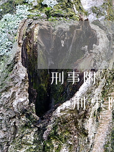 刑事附帶民事訴訟需要請(qǐng)律師嗎(刑事附帶民事需要訴訟費(fèi)嗎)