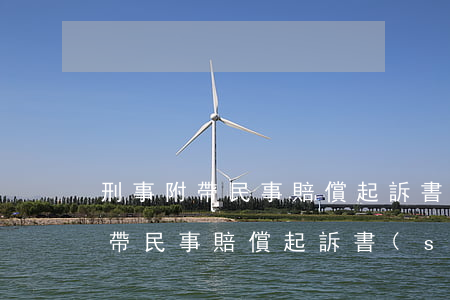 刑事附帶民事賠償起訴書(shū)(刑事附帶民事賠償起訴書(shū)到哪里寫(xiě))
