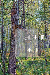 刑事附帶民事需要交訴訟費(fèi)嗎(刑事附帶民事律師費(fèi)是否由被告承擔(dān))