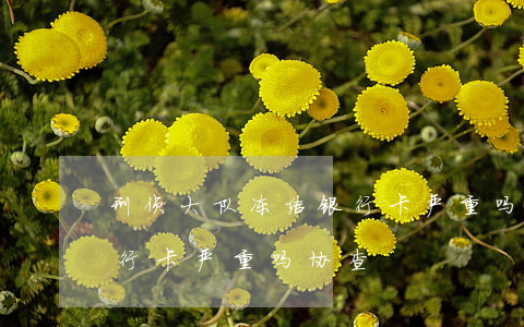刑侦大队冻结银行卡严重吗(刑侦大队冻结银行卡严重吗协查)