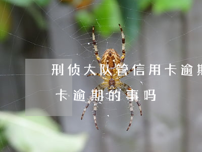 刑侦大队管信用卡逾期吗-公安局会管信用卡逾期的事吗