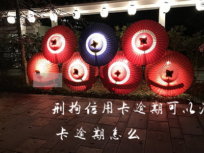 刑拘信用卡逾期可以消除嗎(人在拘留所信用卡逾期怎么辦)