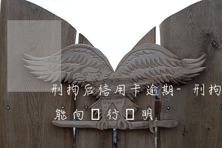 刑拘后信用卡逾期-刑拘后信用卡逾期能不能向銀行說明