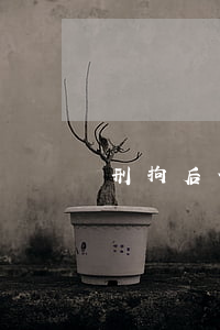 刑拘后信用卡逾期（信用卡逾期罰款追回）