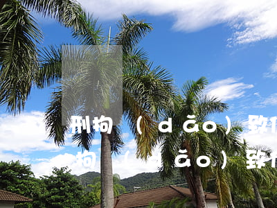 刑拘導(dǎo)致信用卡逾期上征信(被刑拘導(dǎo)致信用卡逾期)