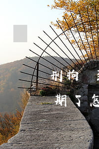 刑拘導致信用卡逾期怎么辦(拘留后信用卡逾期了怎么辦)