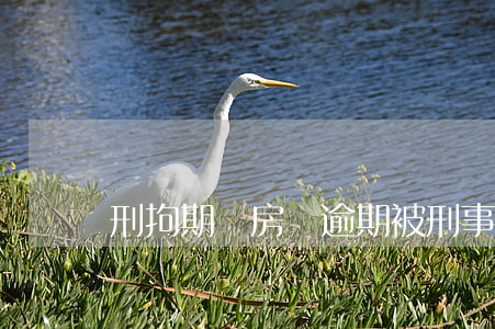 刑拘期間房貸逾期(被刑事拘留貸款逾期怎么辦)