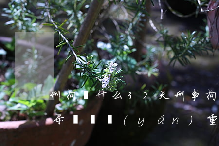 刑拘為什么37天(刑事拘留37天是不是表示問題嚴(yán)重?)