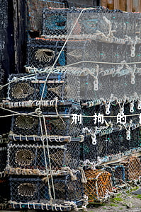 刑拘的條件(拘留具備什么條件)