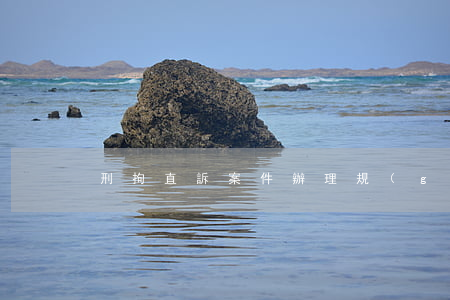 刑拘直訴案件辦理規(guī)定