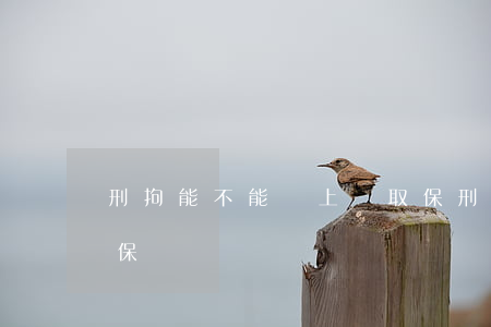 刑拘能不能馬上辦取保(刑拘什么時候可以取保)