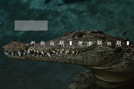 刑拘超期羈押（逾期超期羈押）