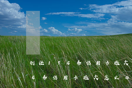 刑法196条信用卡拖欠怎么办-刑法196条信用卡拖欠怎么办呢