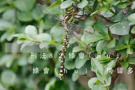 刑法82條會(huì)拘留多久(刑法82條會(huì)拘留多久尋釁滋事已被拘留)