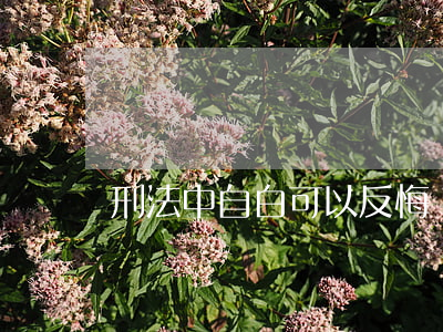 刑法中自白可以反悔嗎(刑法中自白可以反悔嗎)